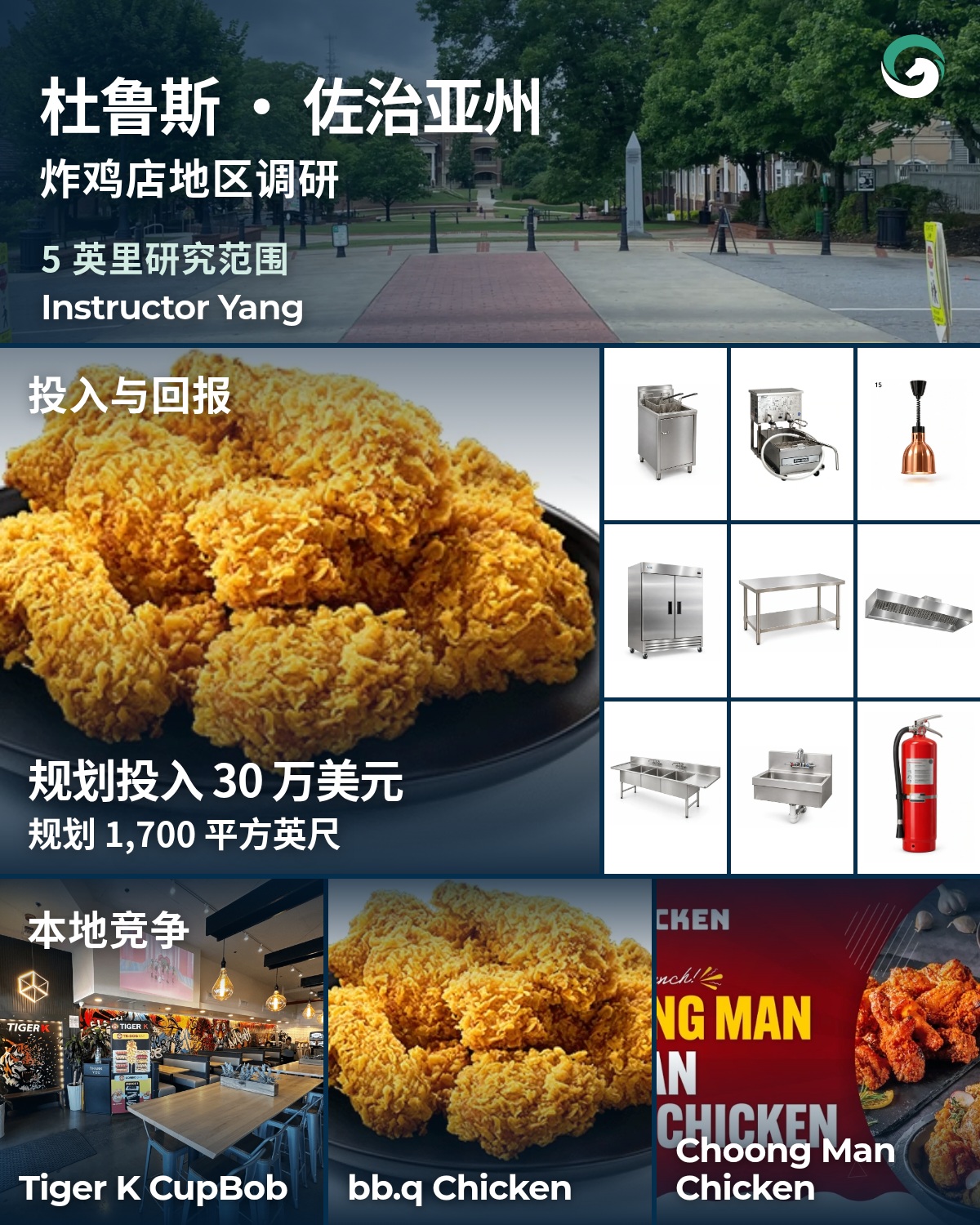 杜鲁斯 · 佐治亚州 炸鸡店地区调研海报